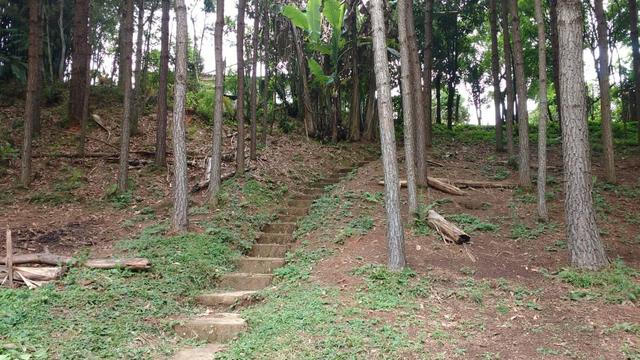 Chácara em Araucária - Foto 7