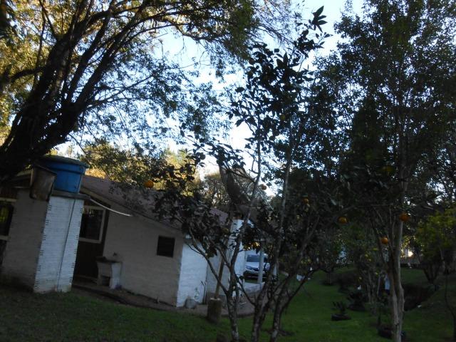 Chácara - Vendo - Foto 7