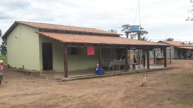 Fazenda - Foto 9