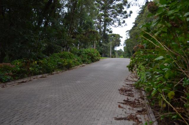 Terreno à venda, 1600 m² por R$ 2.000.000,00 - Vila Suzana - Canela/RS - Foto 2