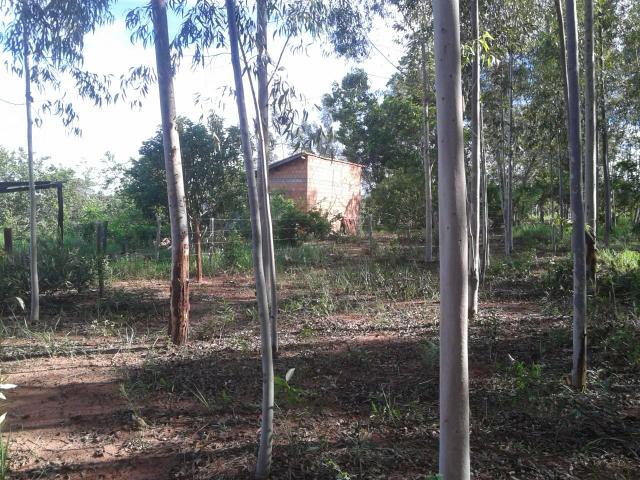 Vendo chácara - Foto 6