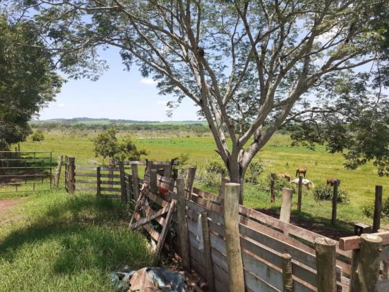 8271 | Fazenda à venda em ZONA RURAL, Ivailandia - Foto 9