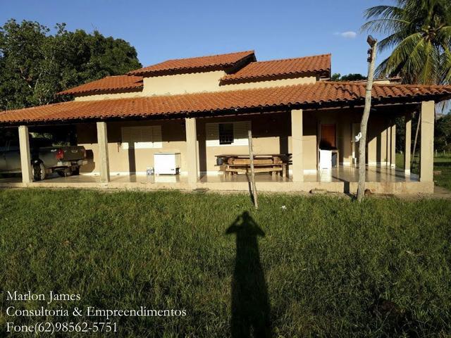 Fazenda em Niquelandia! - Foto 8