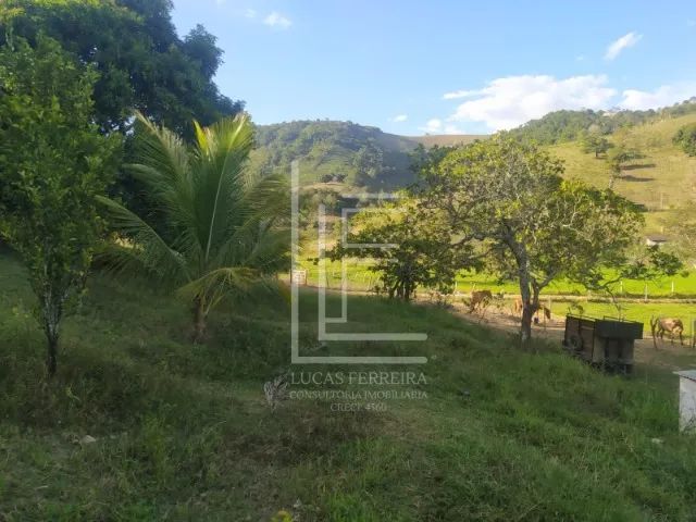 Fazenda de 10 hectares com ótima casa sede em Santana do Mundaú