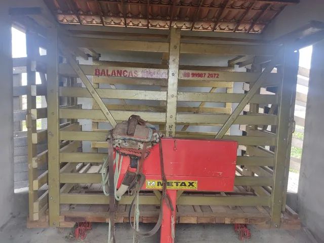 Vendo Fazenda 500 hectares no Quixadá. - Foto 6