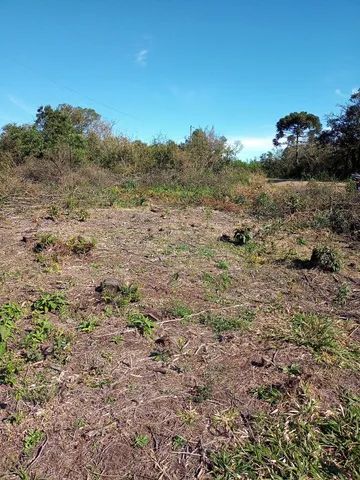 Sítio 3.2 hectares em Gramado - Foto 4