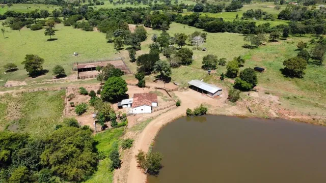 Fazenda 197 alqueires Jau-To
