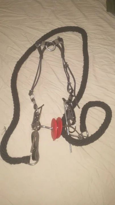 Bridão inox - Foto 3