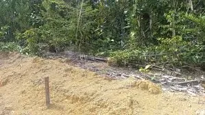 Troco Terreno as margens do Rio Urubu por carro