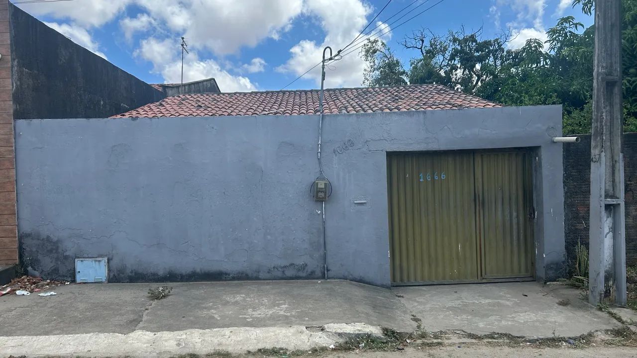 Foto - Maracanaú - Cágado