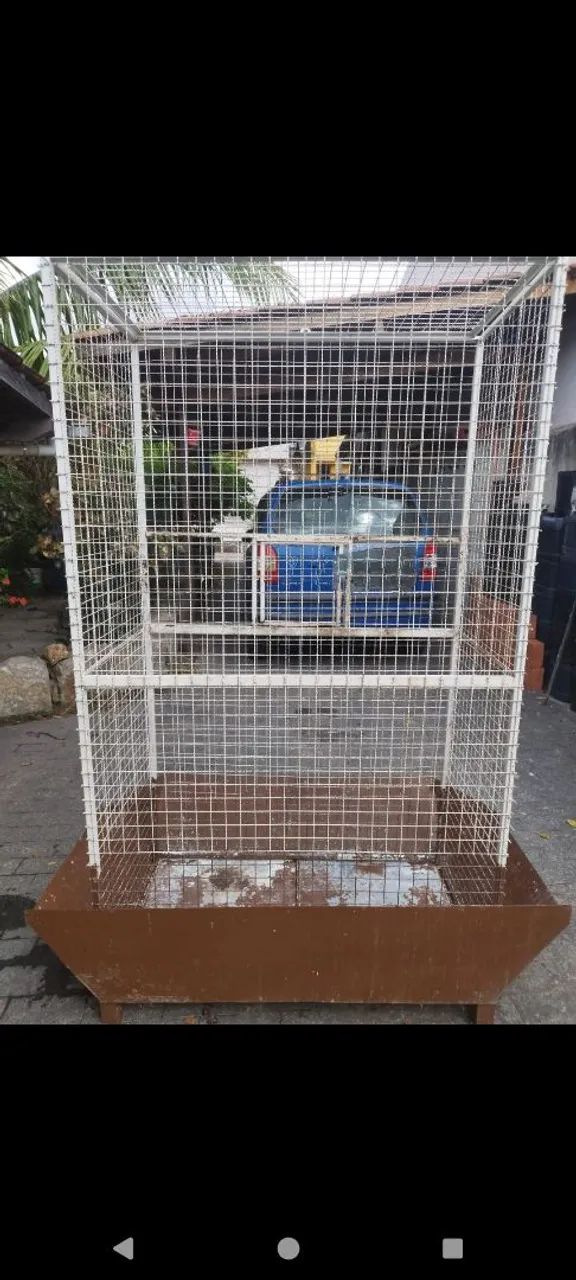 Viveiro grande para pássaros - Foto 3