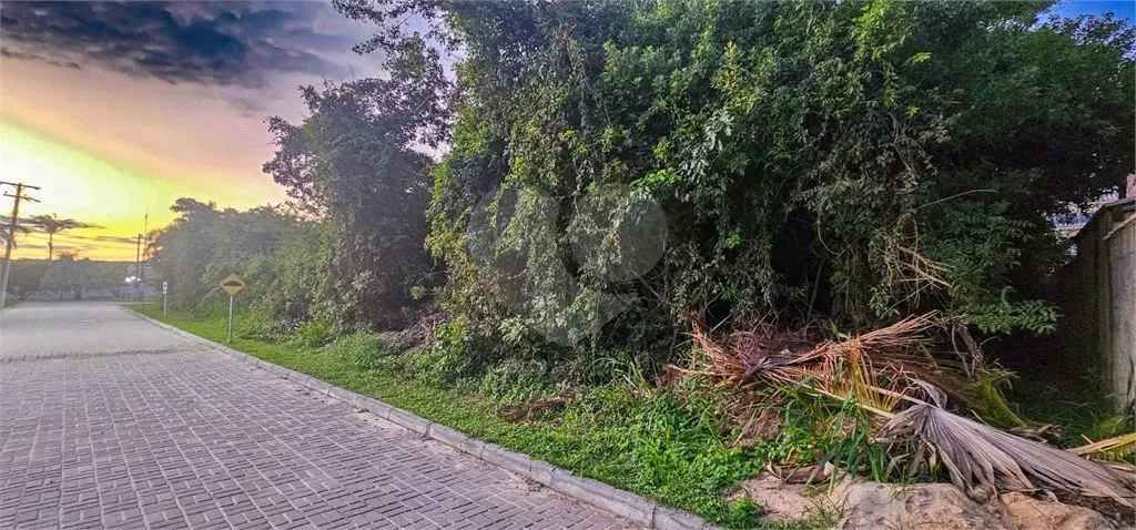 Terreno à venda em Caravelas - RJ