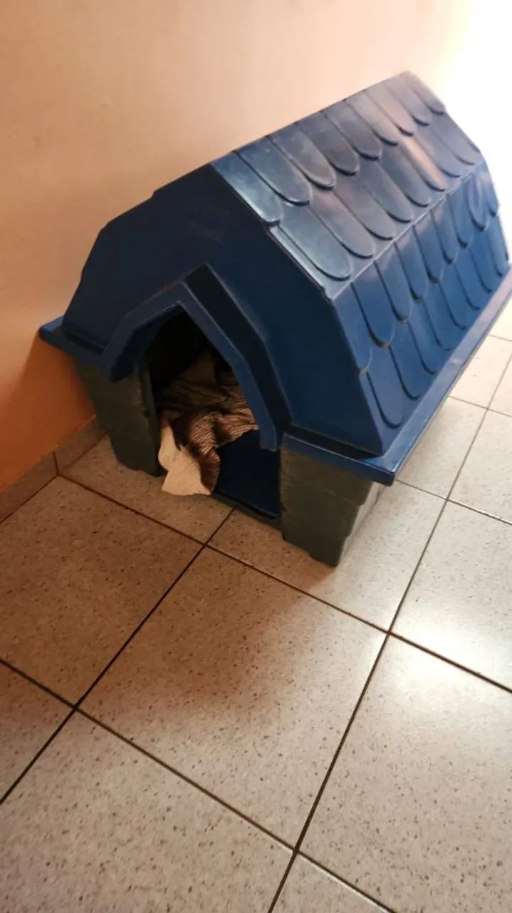 Casa cachorro tam 4 grande