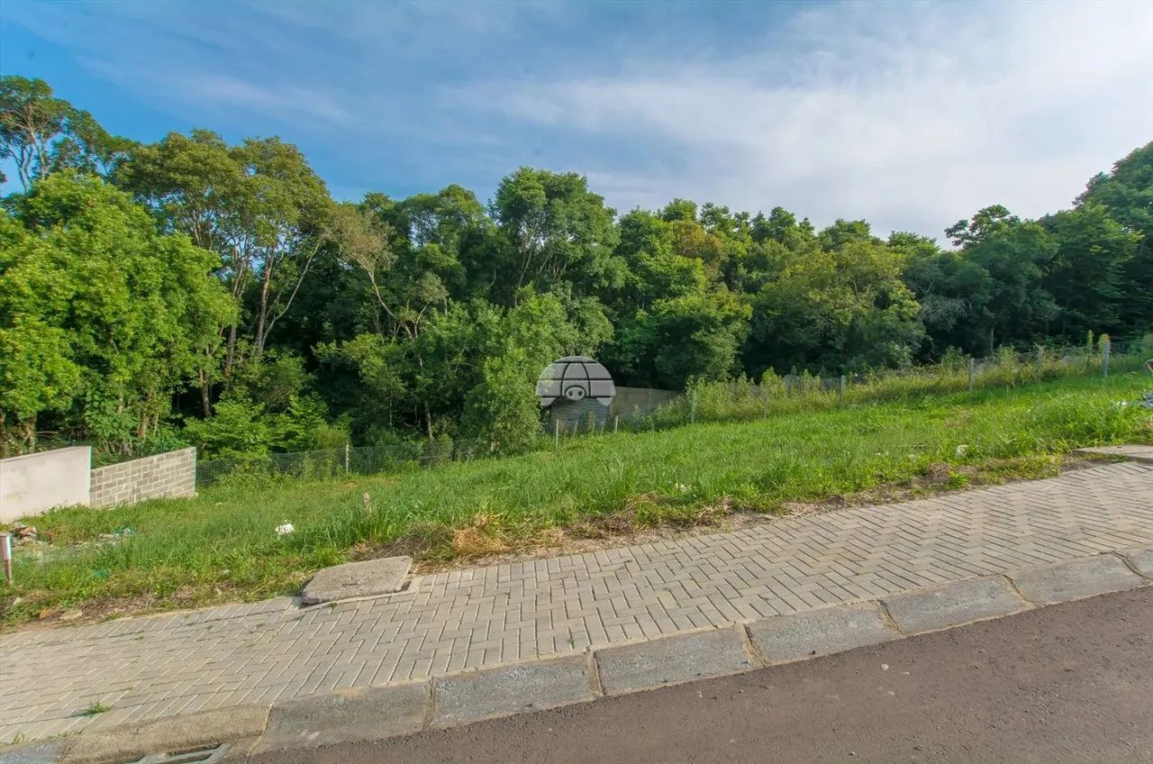 Vendas Terreno Curitiba PR - Foto 4