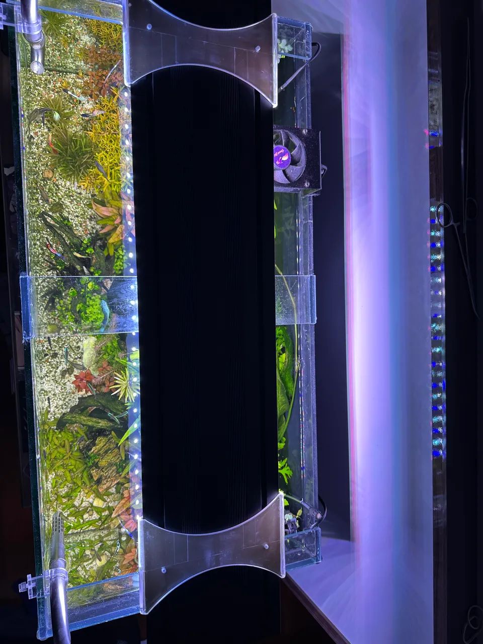 Luminária aquário Oceantech nour plus freshwater 80cm 9200lm - Foto 3