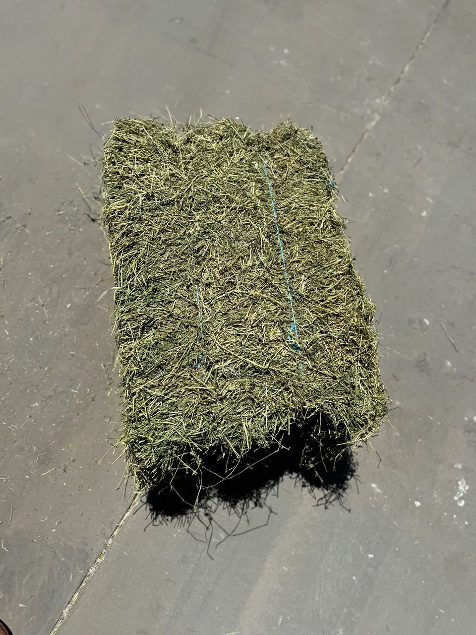 ALFAFA VERDINHA 2,5 R$ O KILO - Foto 2