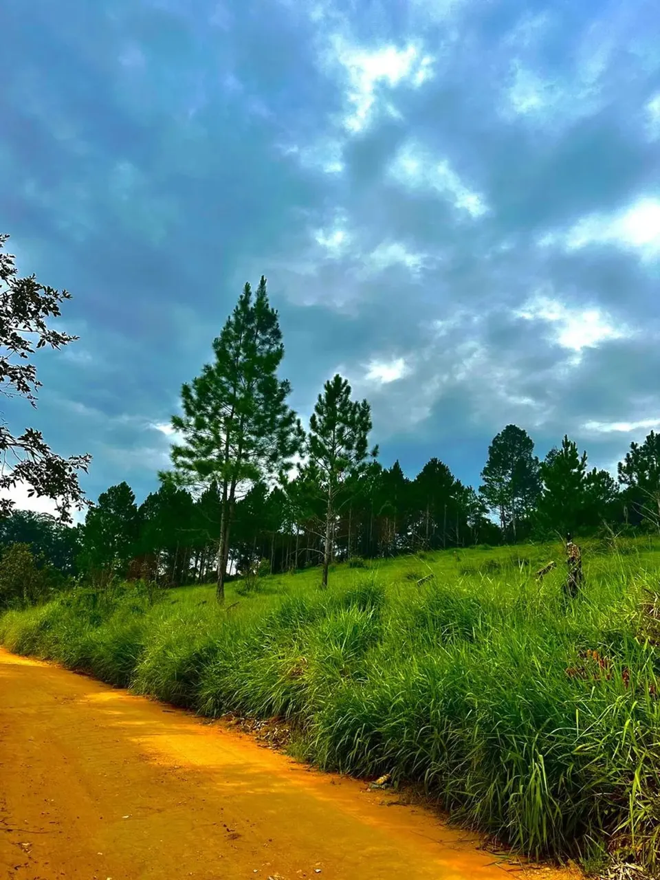 Vista incrível e muito espaço Terreno em São Roque!