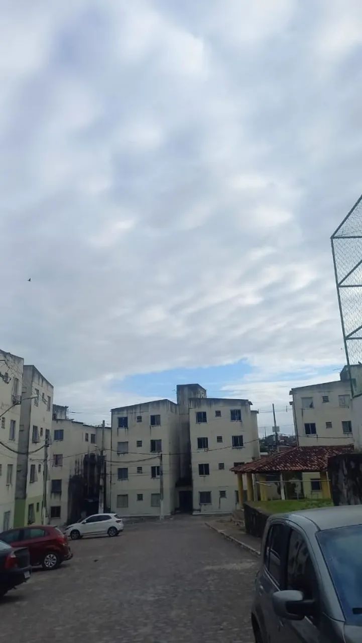 Foto - Paulista - Fragoso