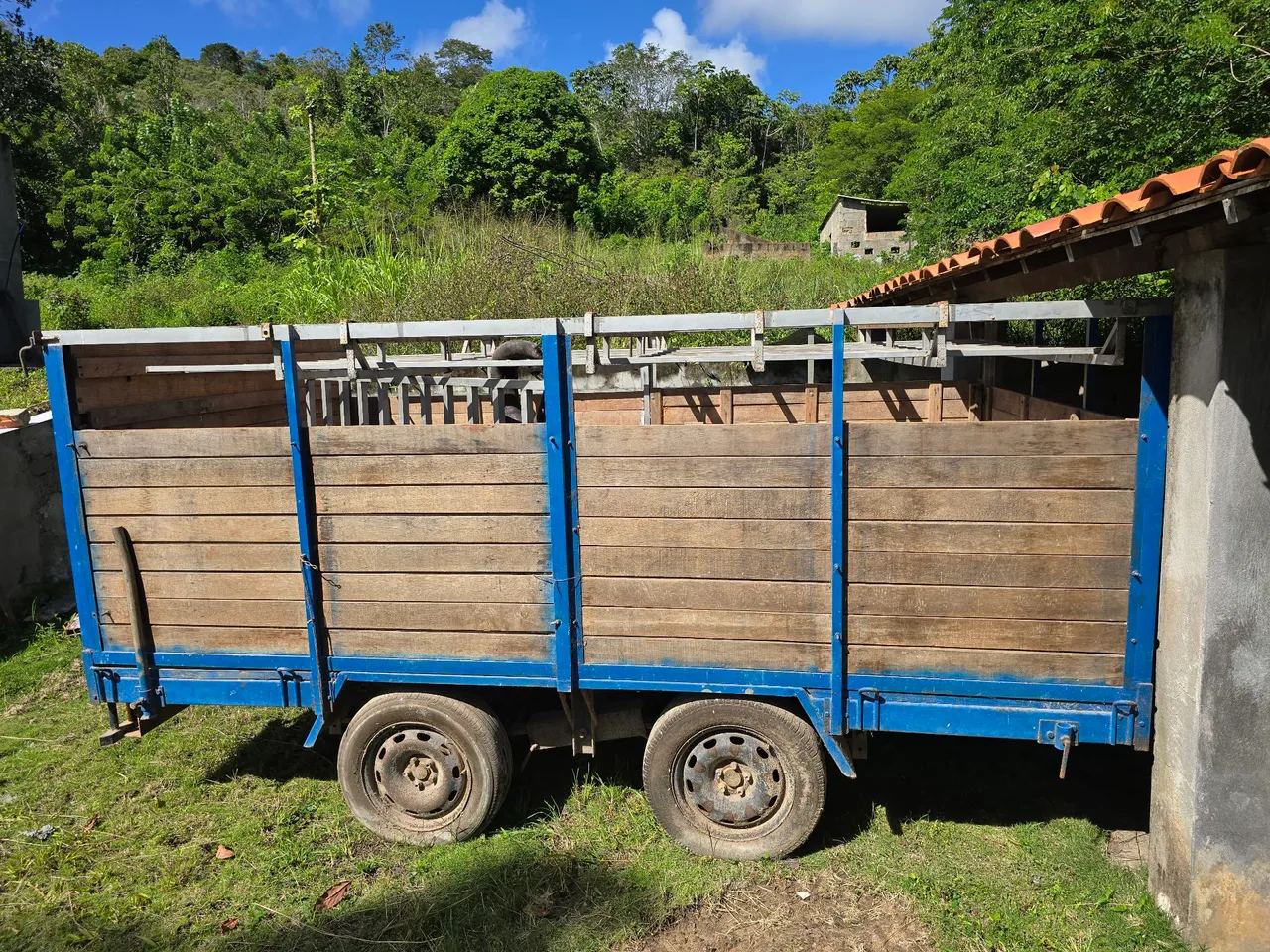 Carreta para transporte de animais