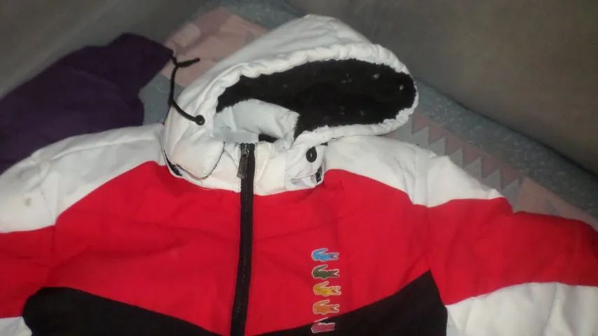 Jaqueta Bomber Lacoste Tamanho G - Foto 3
