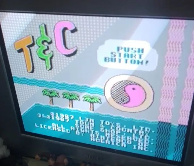 Town & Country Surf Designs: Wood and Water Rage NES - Foto 4