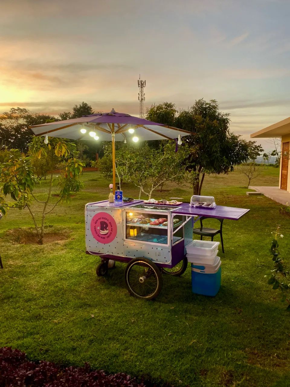 Food bike a venda 