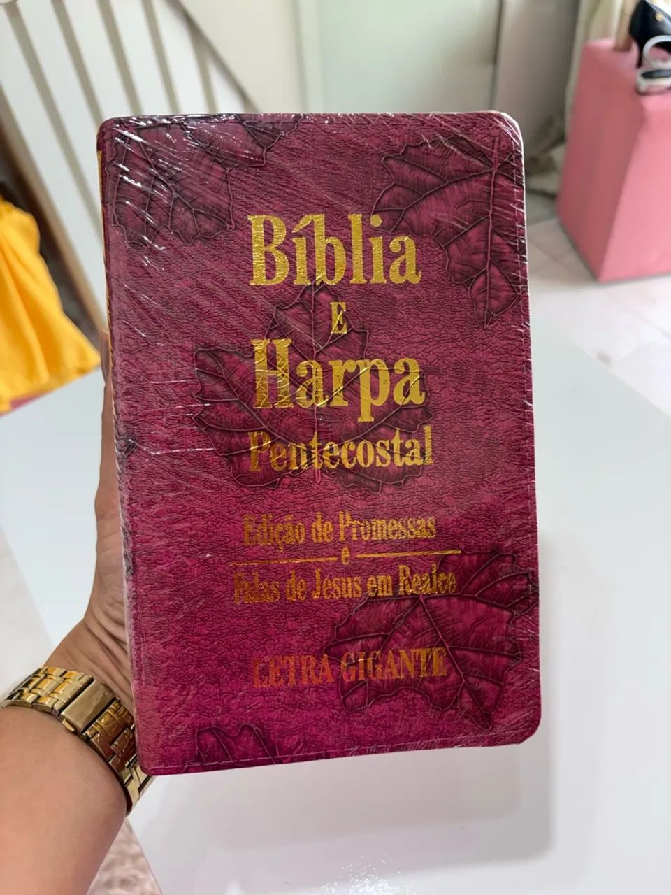 Bíblia Sagrada com harpa 