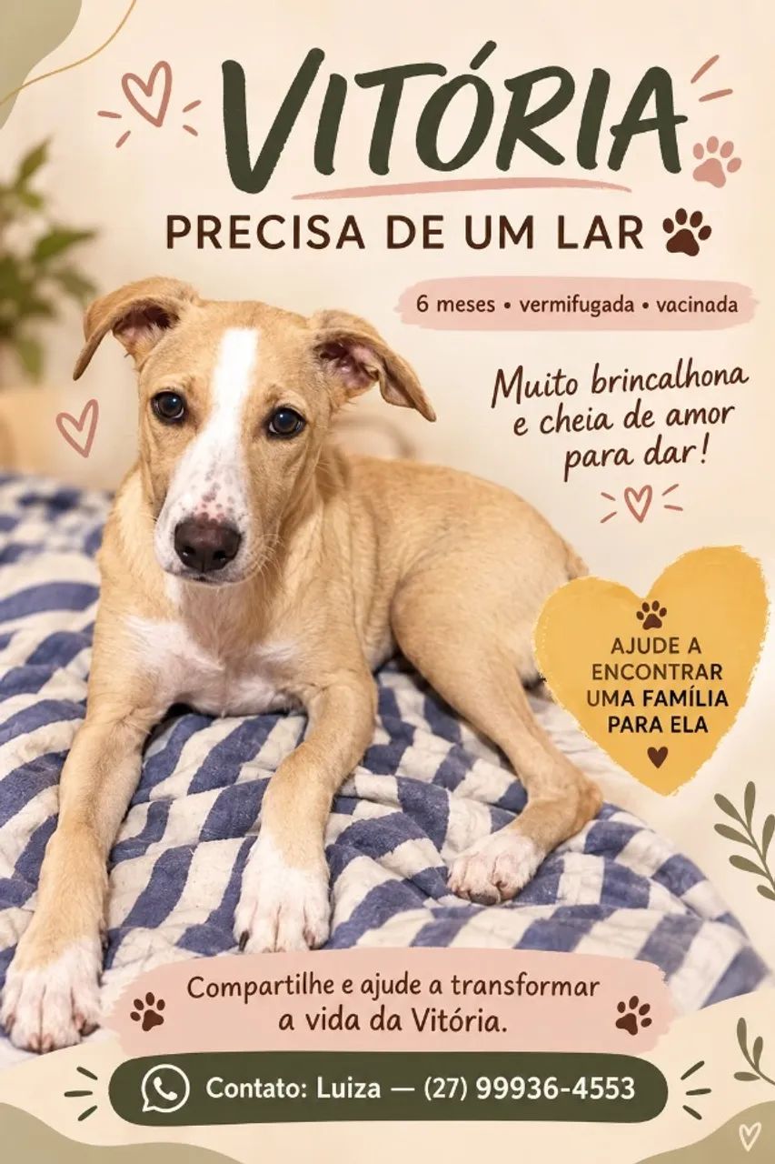 Doação de Duas Cachorrinhas  - Foto 2