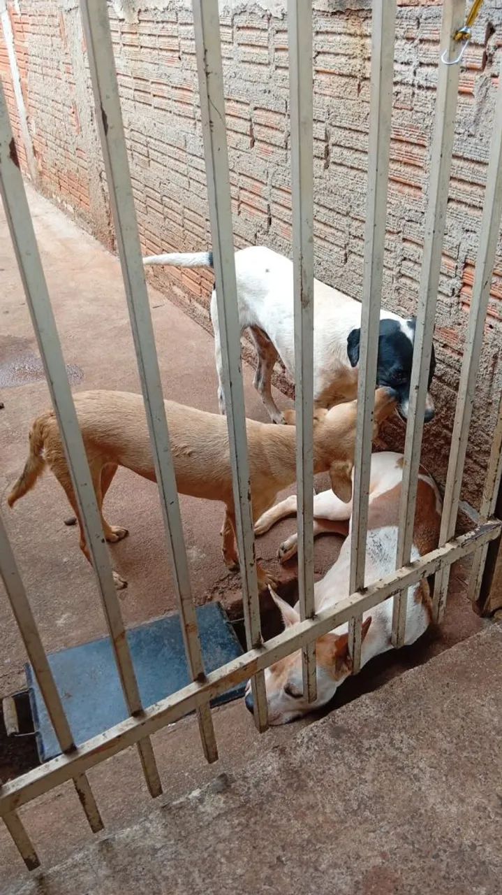 DOAÇAO