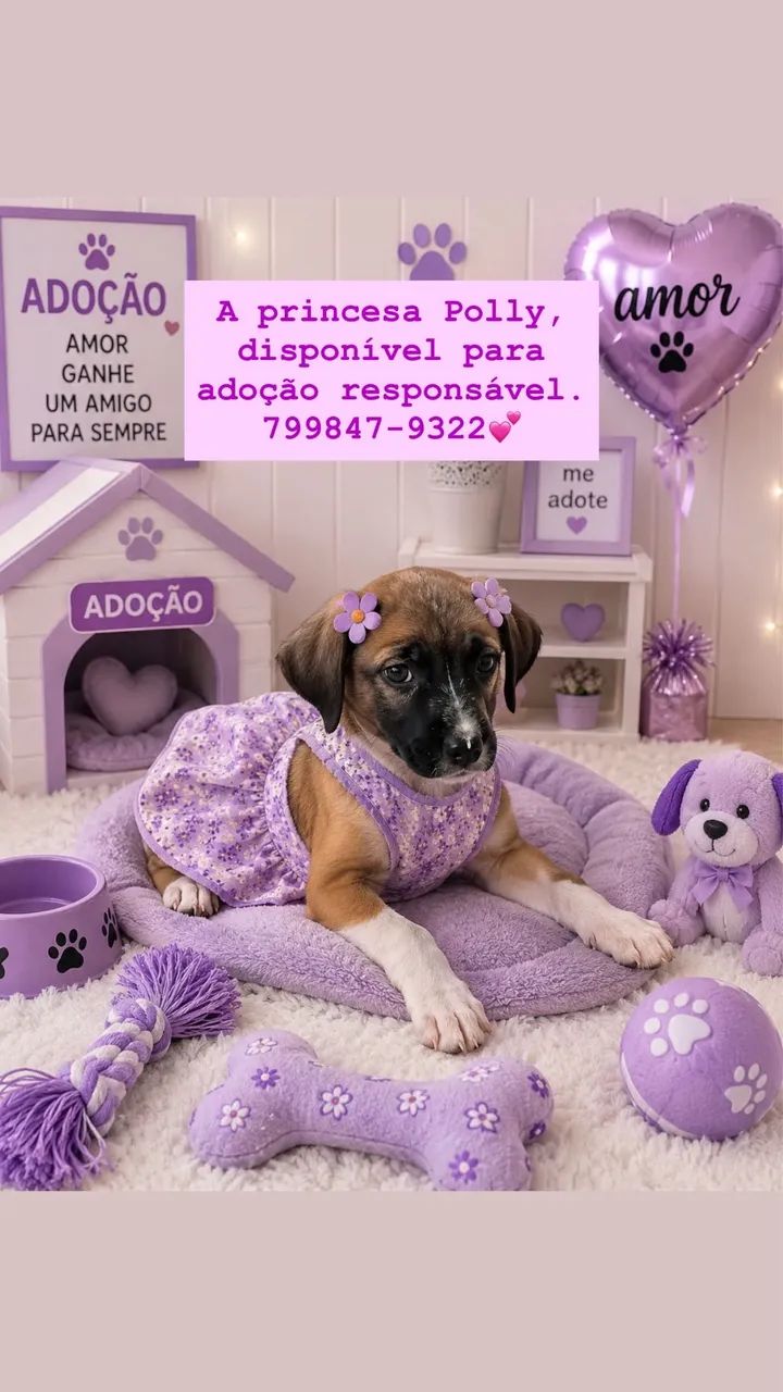 Adoção  - Foto 2