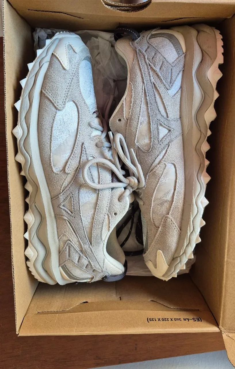 Mizuno Mujin  - Foto 2