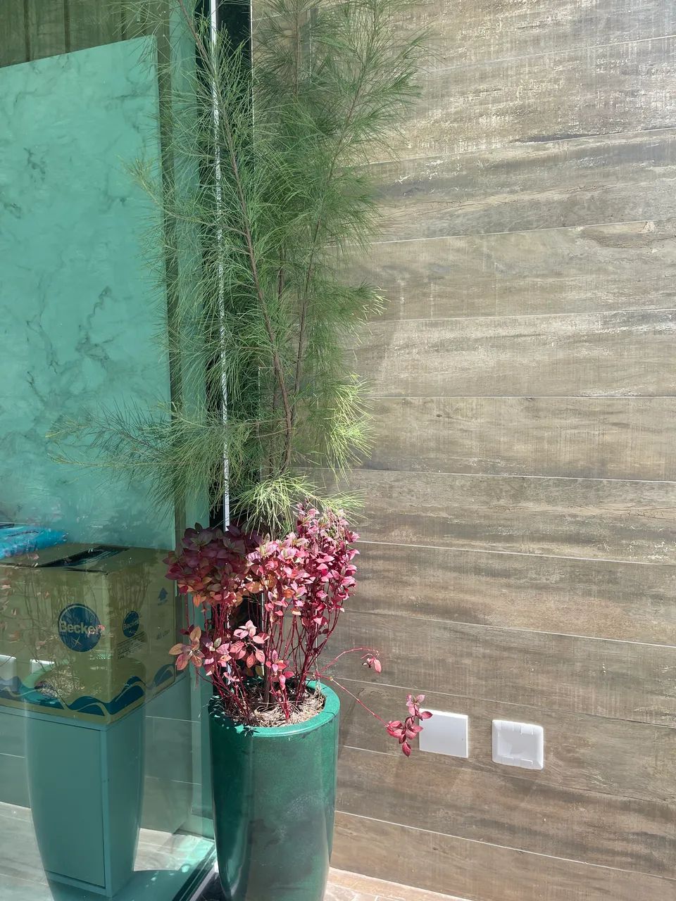 Vaso com planta - Foto 4