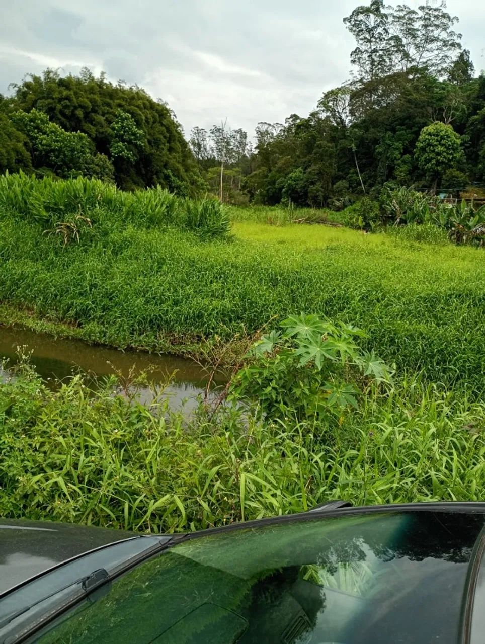Area para compensação 4.200 m2
