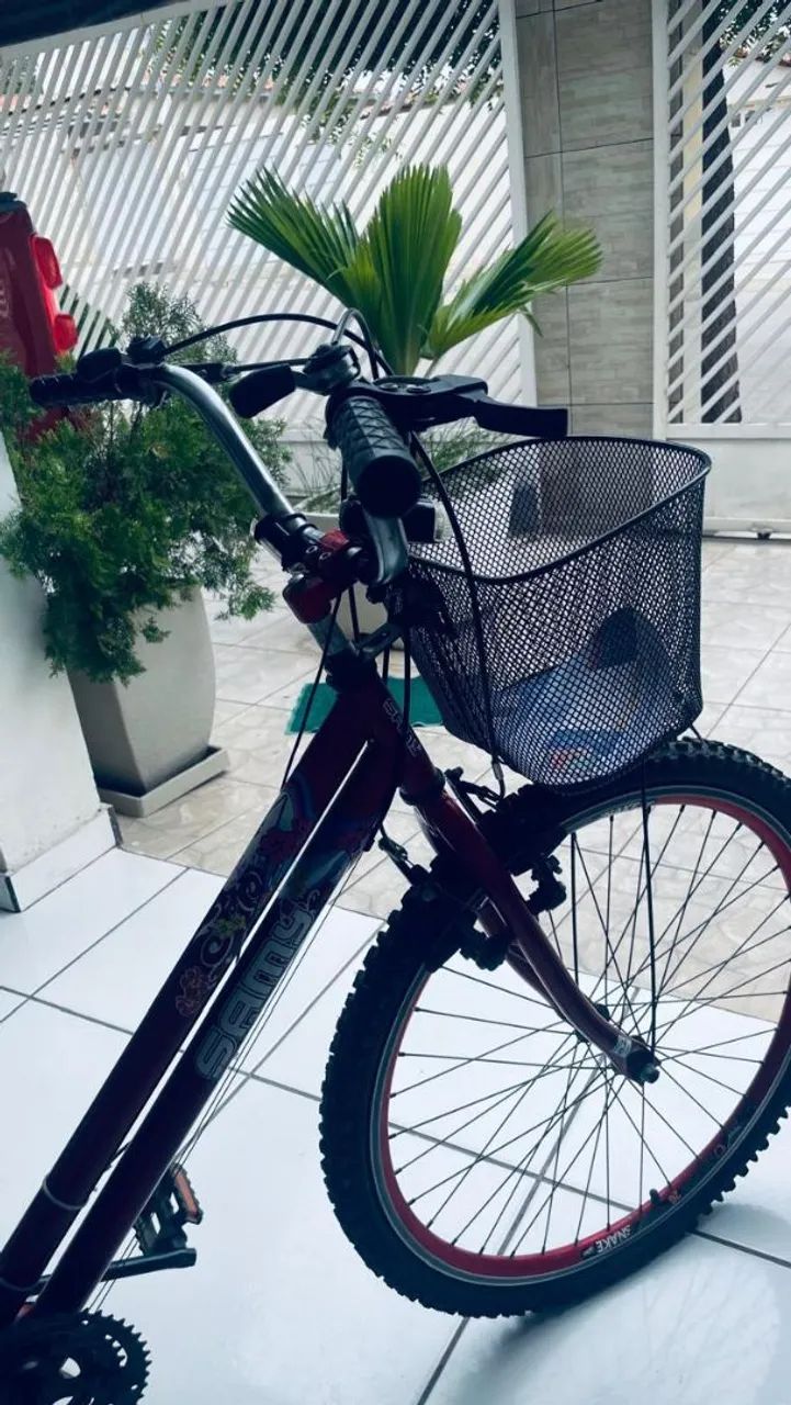 Triciclo com machas  - Foto 3