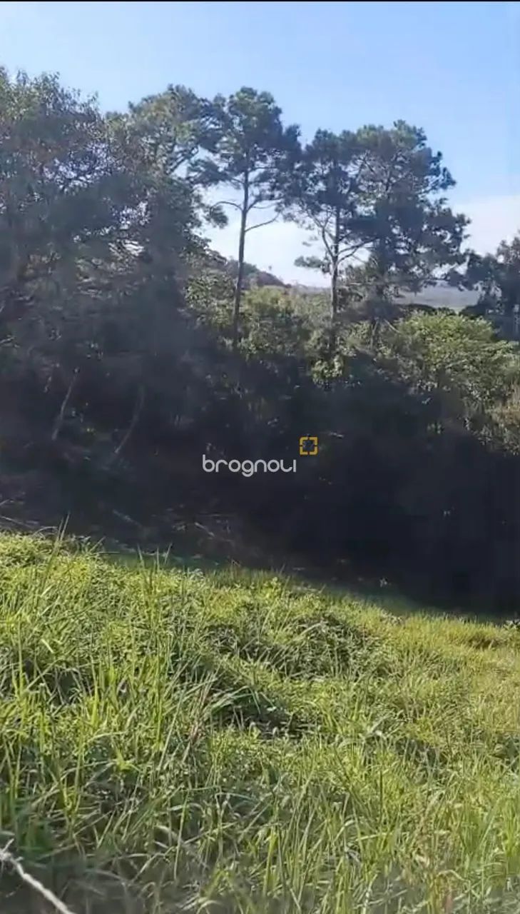 Excelente Terreno à Venda em Santo Antônio de Lisboa  Florianópolis - Foto 3