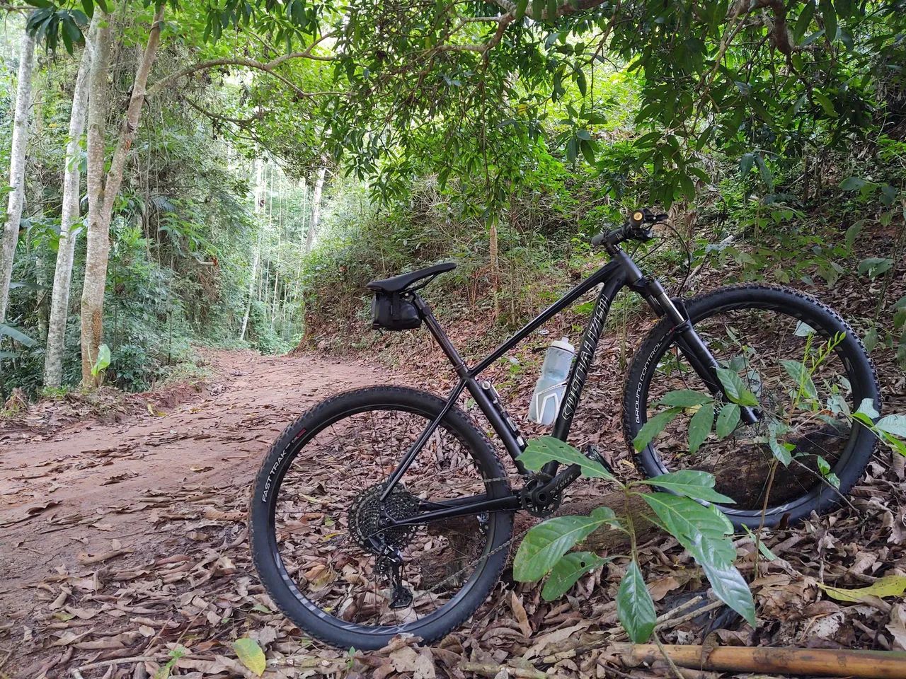 Specialized Rockhopper Pro 2019 - Foto 3