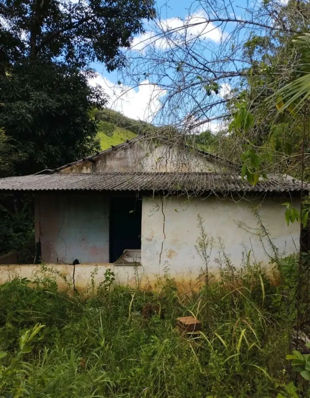 TERRENO COM CASA  - Foto 2