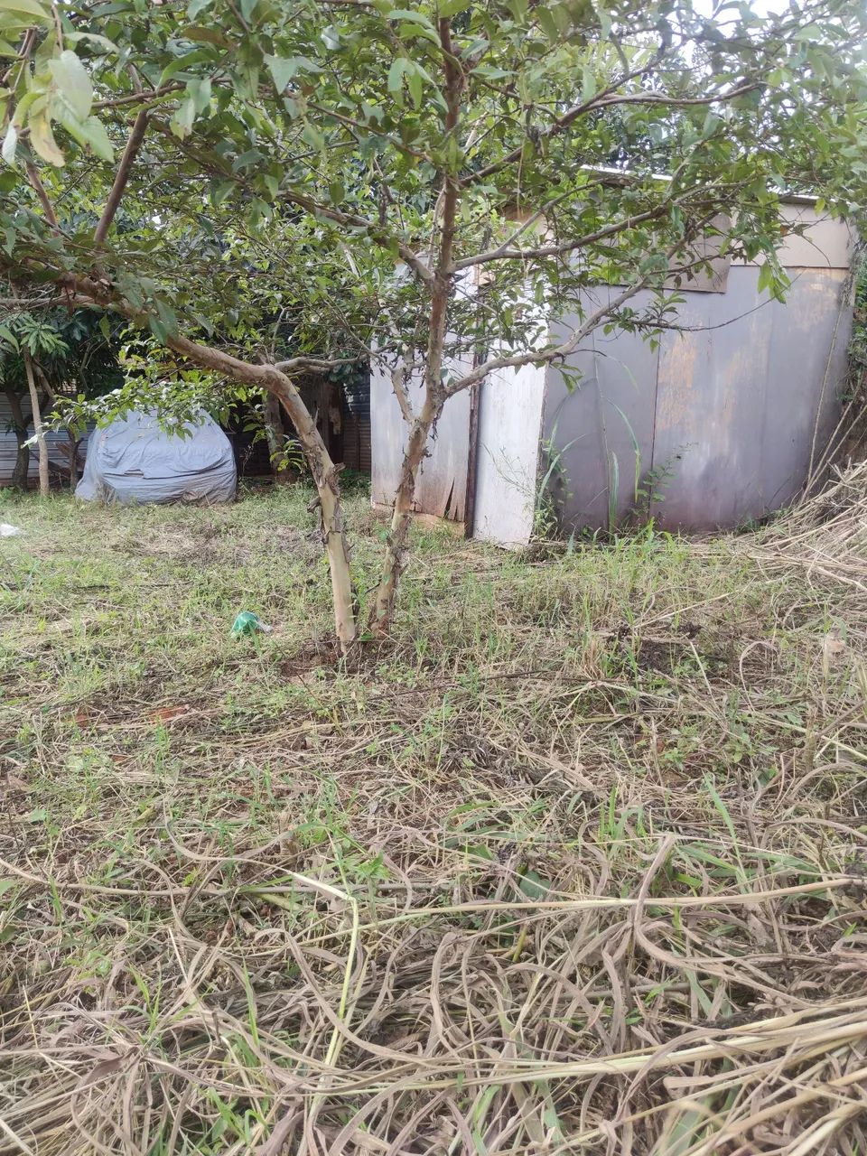 Foto - Brasília - Recanto das Emas