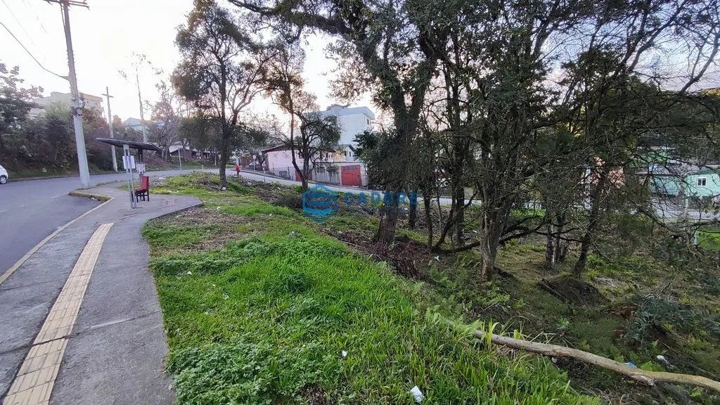 TERRENO DESVIO RIZZO COM 465m² - Foto 4