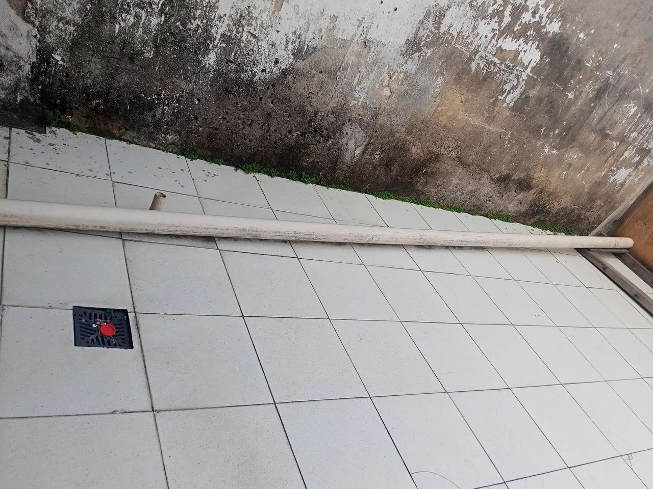 Cano