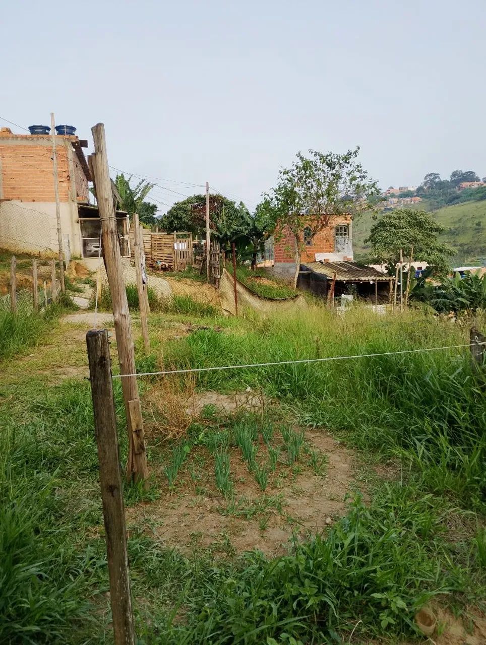 Foto - São Paulo - Jardim Pérola I