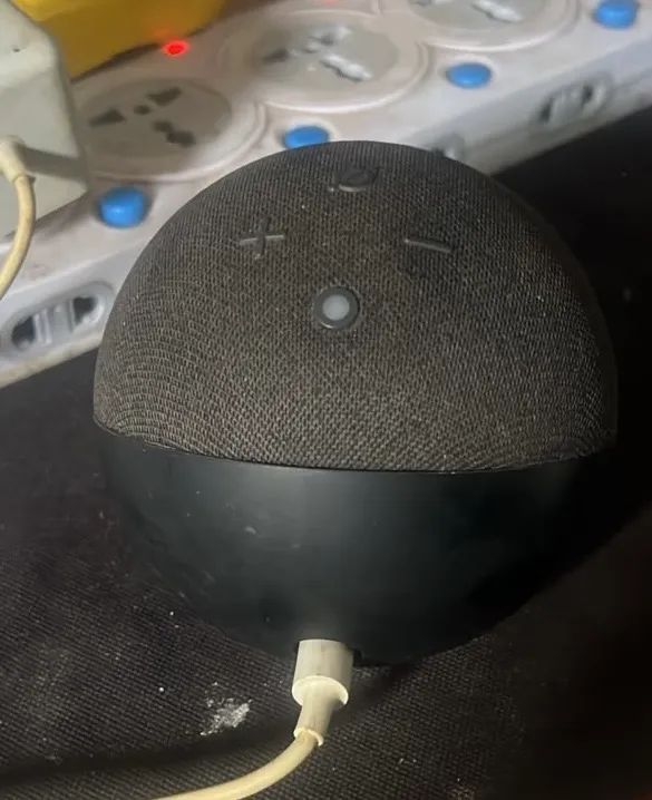 Alexa 