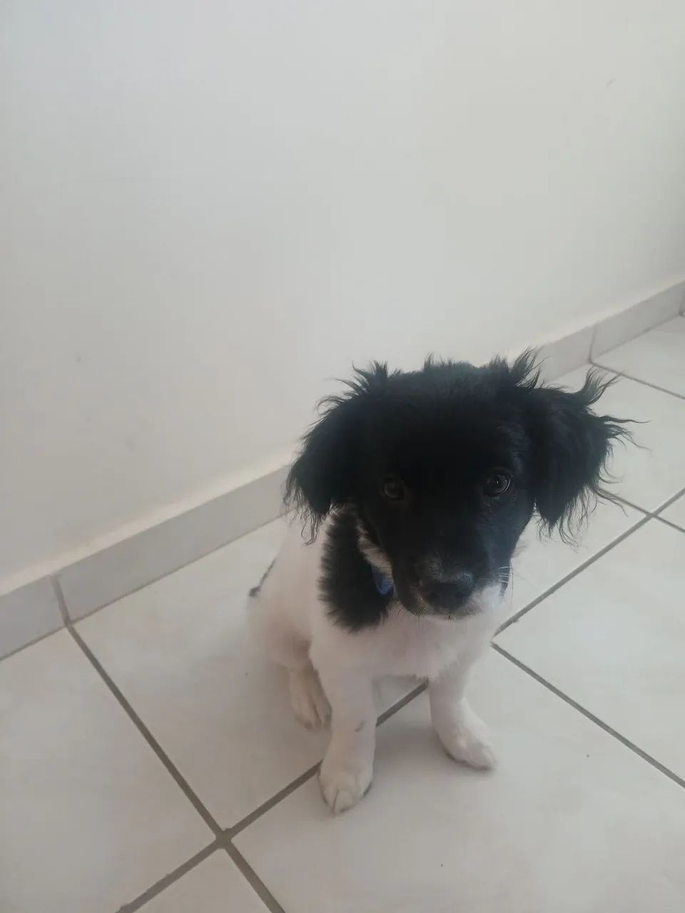 vendao - Foto 2