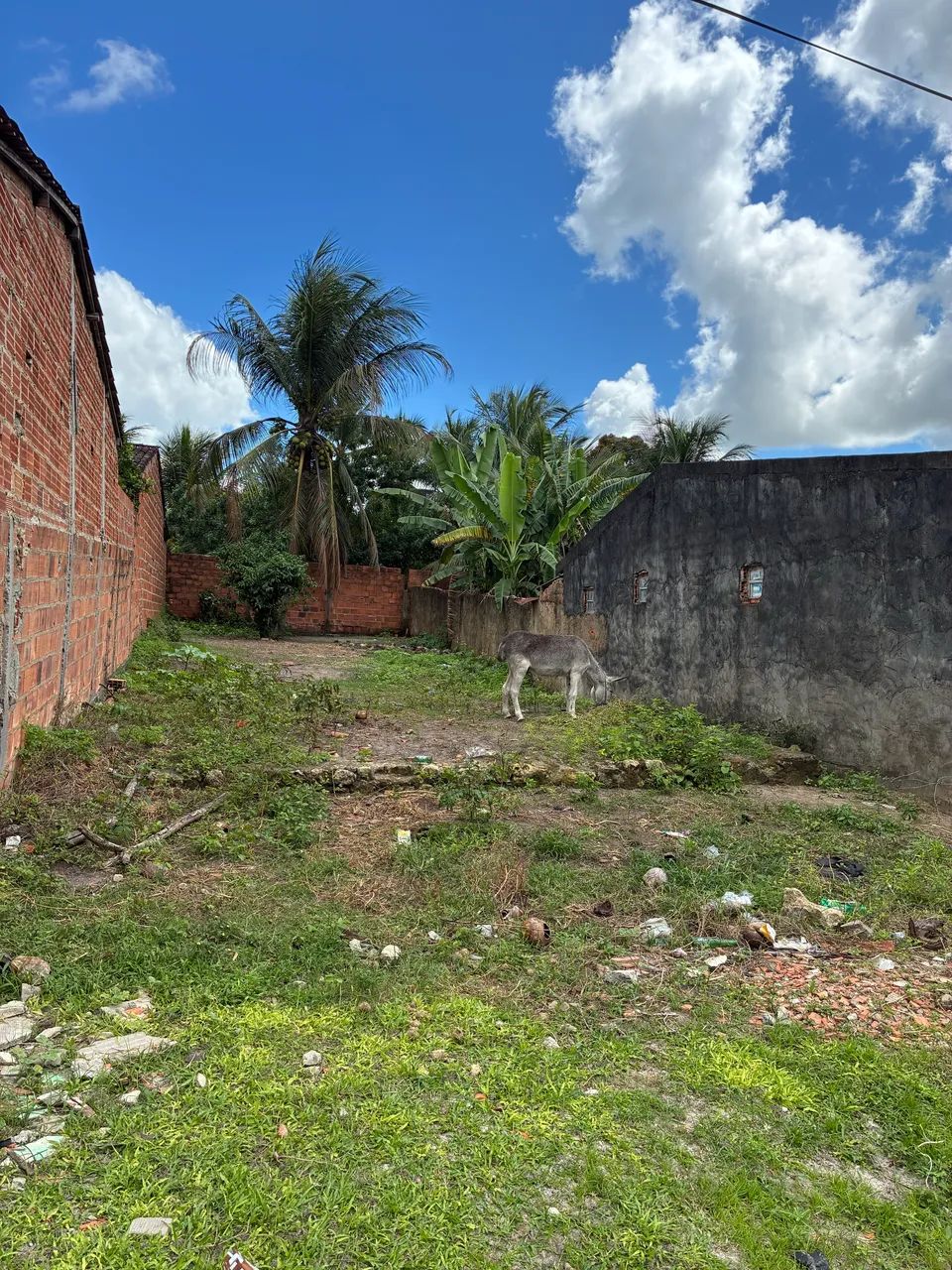 Terreno São José japaratuba  - Foto 3