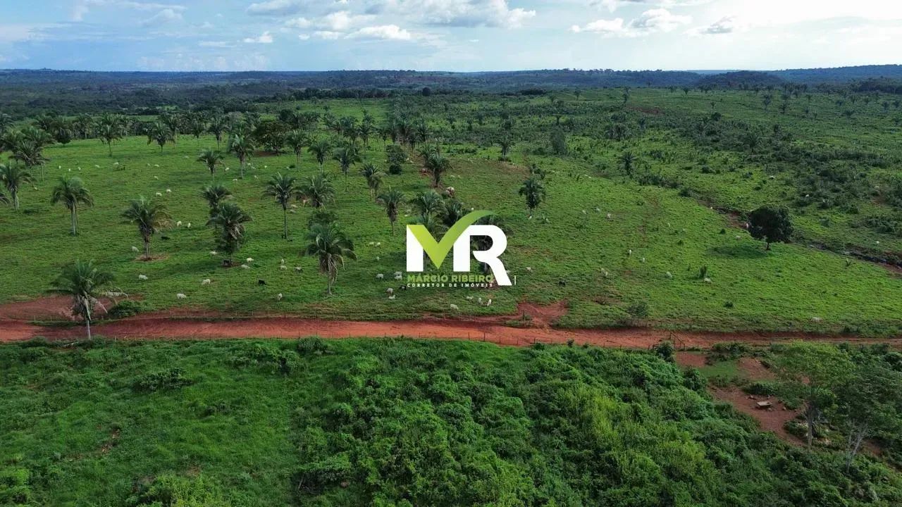 FAZENDA À VENDA  TOCANTINÓPOLIS/TO 2.081 hectares - Foto 3