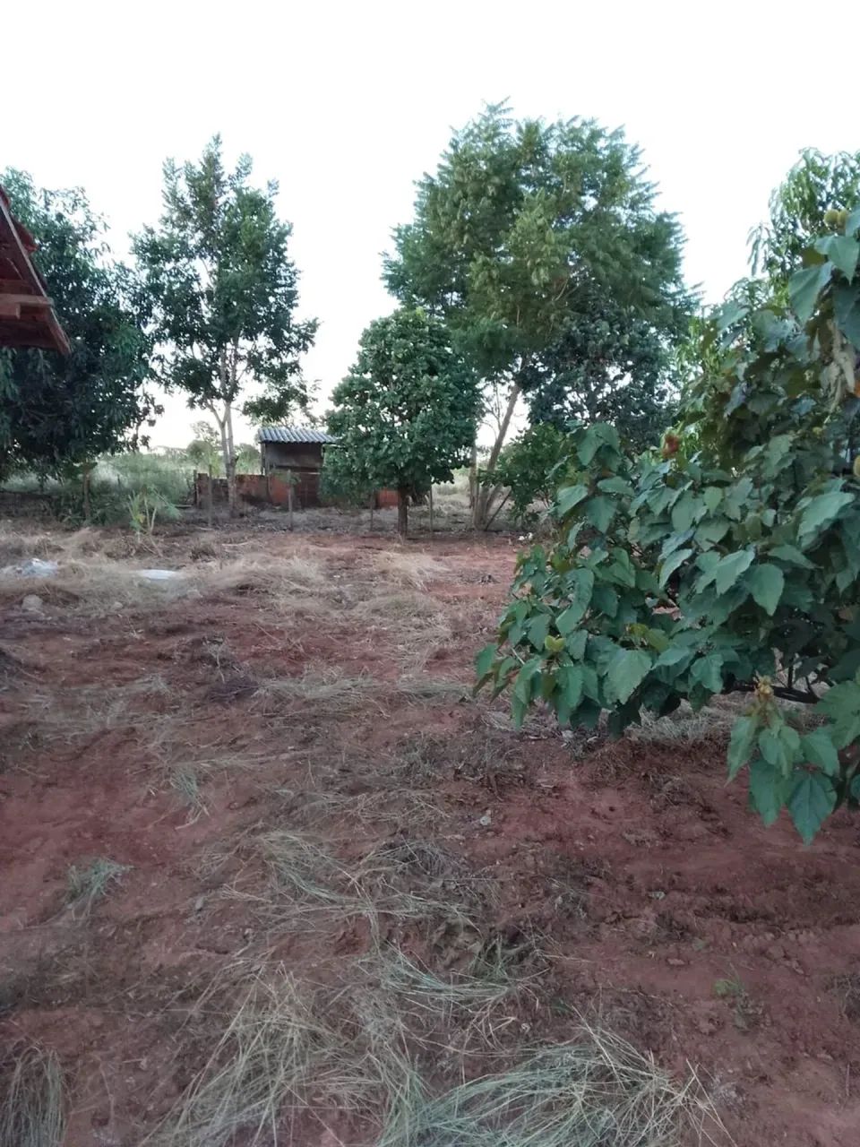 CÓD. 278 Chácara 7 ha | 30 km de Campo Grande - Foto 3