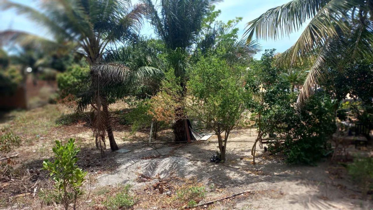 Uma linda terra, pra construí e  plantar  - Foto 3