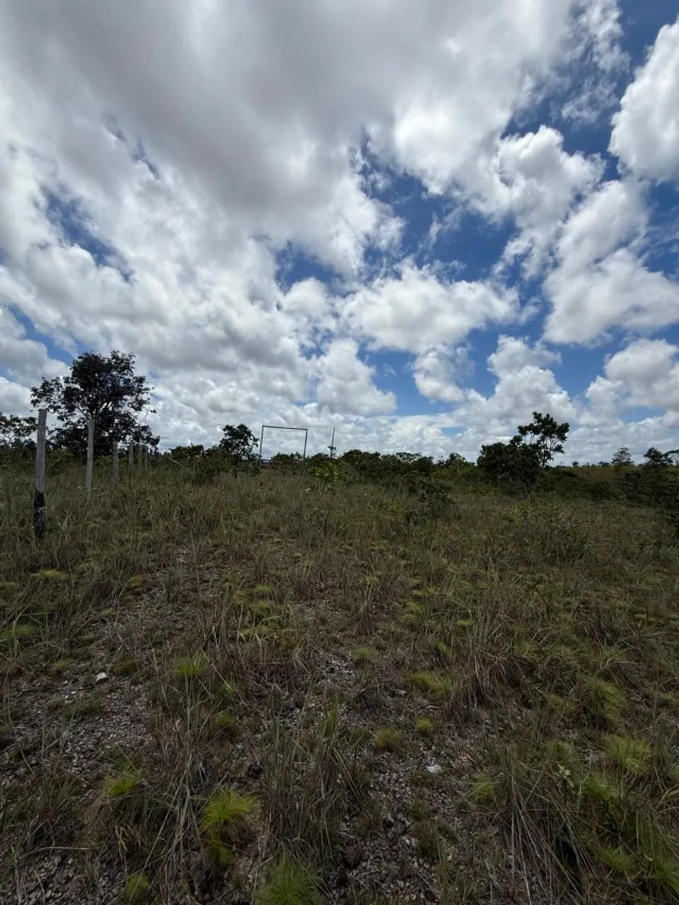 Vendo Sítio á 35 km de Santana na localidade Maçaranduba II - Foto 9