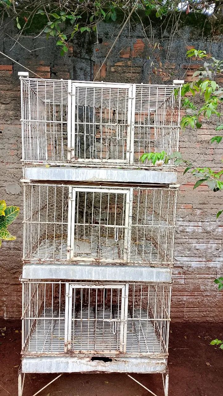 Gaiola 3 andares 