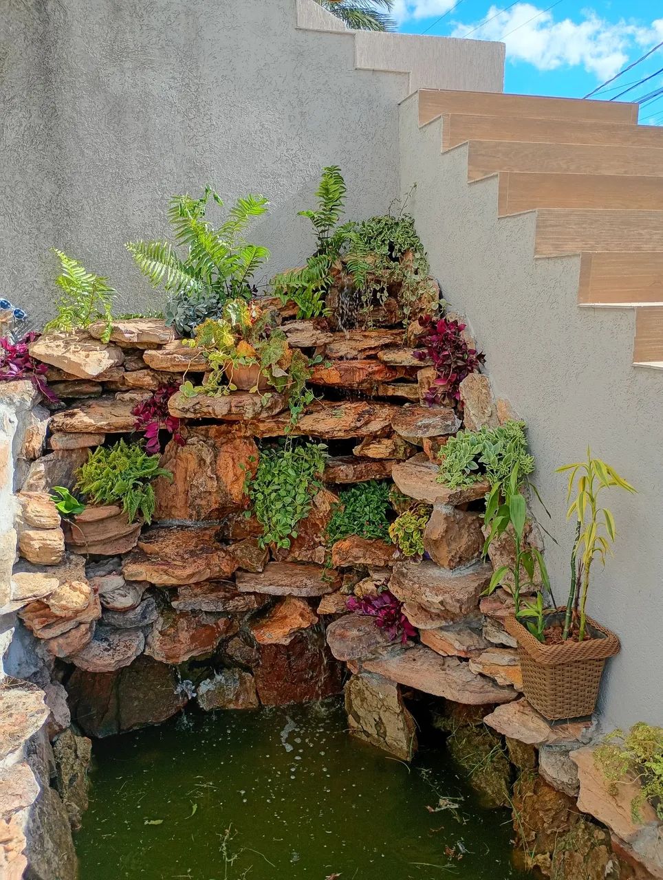 que um jardim agradável e perfeito,fale comigo  - Foto 4